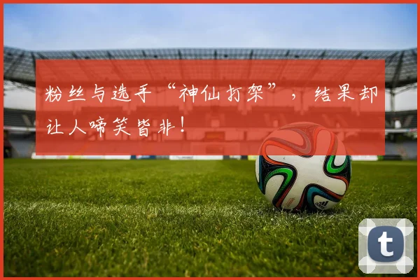 粉丝与选手“神仙打架”，结果却让人啼笑皆非！