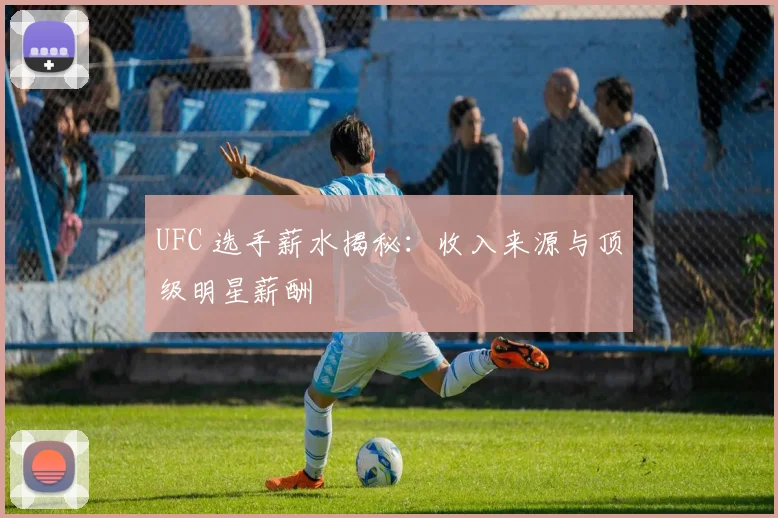 UFC 选手薪水揭秘:收入来源与顶级明星薪酬