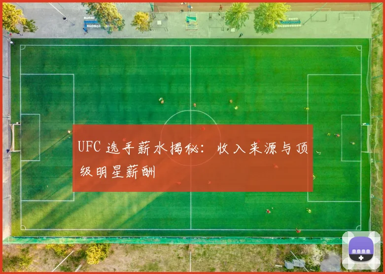 UFC 选手薪水揭秘:收入来源与顶级明星薪酬