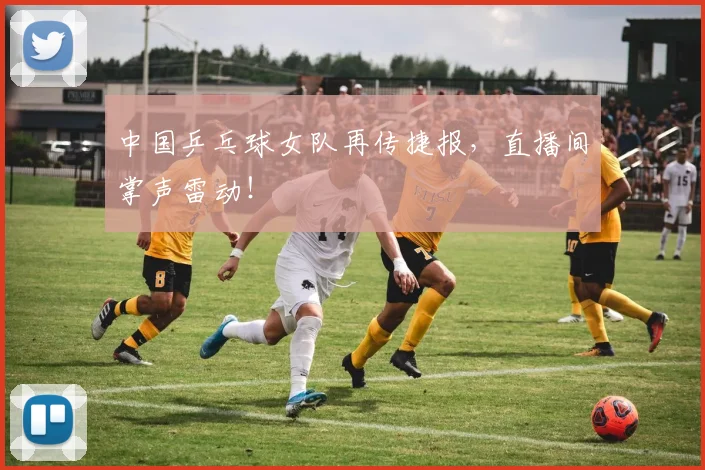 中国乒乓球女队再传捷报，直播间掌声雷动！