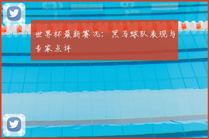 世界杯最新赛况:黑马球队表现与专家点评