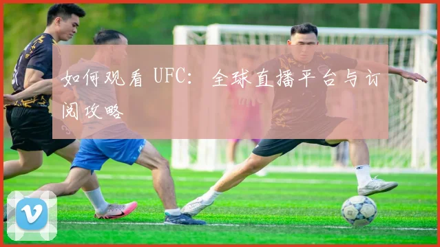 如何观看 UFC:全球直播平台与订阅攻略